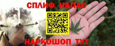 СК Кимры