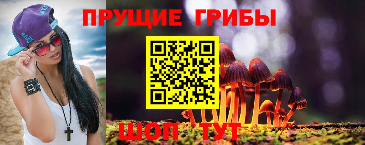Тавда  Галлюциногенные грибы MAGIC MUSHROOMS  Вход с VPN  Псилоцибиновые грибы Magic Shrooms 